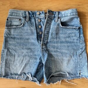 Aritzia Yoko Mid Thigh Short